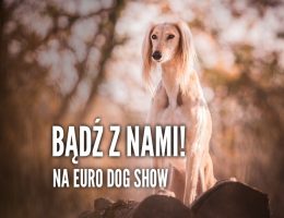 Euro Dog Show